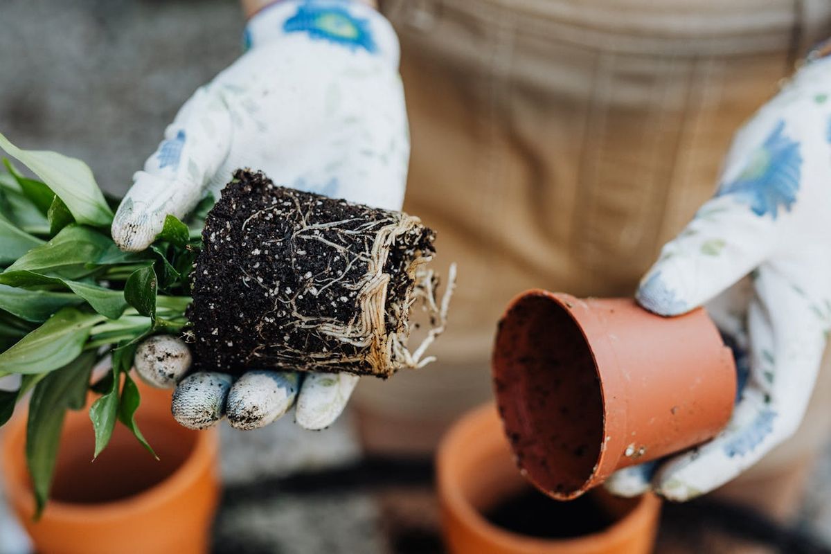 Gardening with a pot