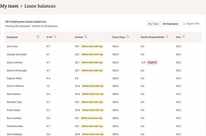 The all employees leave balances table, with above carry-over cap and negative balance flags and a count in the header